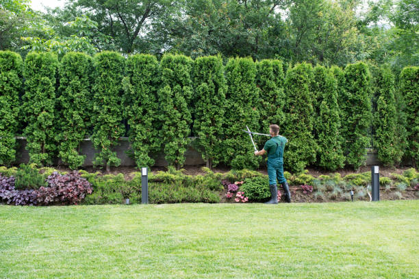 Best Lawn Irrigation Installation and Maintenance  in Kennett Square, PA